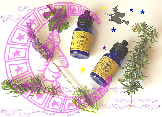 アロマテラピー占星術・個人カウンセリング「Natural Herb ナチュラルハーブ」 アロマテラピー占星術・個人カウンセリング「Natural Herb ナチュラルハーブ」